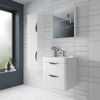 Picture of Neutral Parade 600mm Wall Hung Vanity & Polymarble Basin
